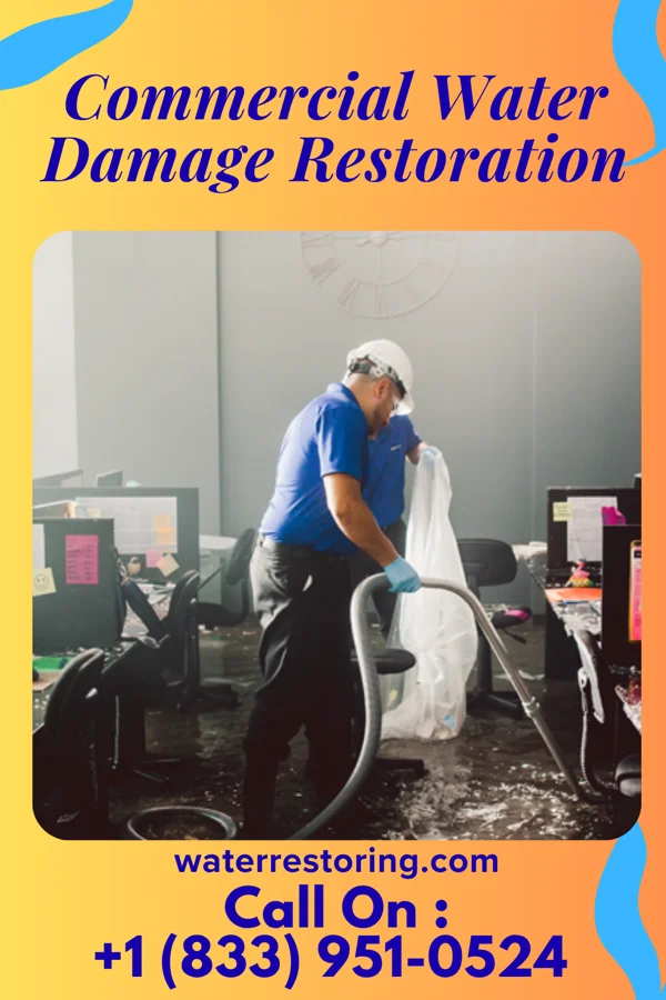 Commercial Water Damage Restoration in Llano Grande, TX