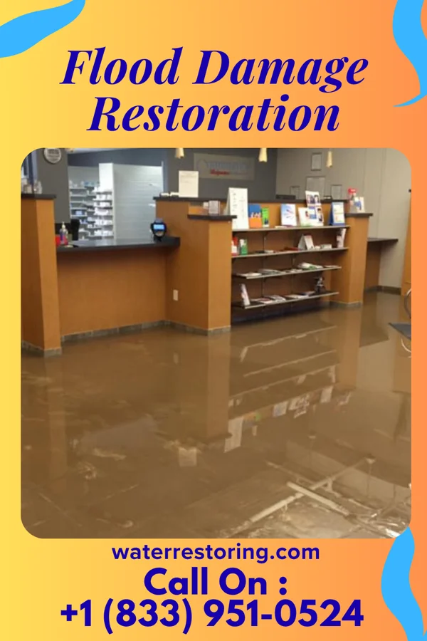 Flood Damage Restoration in Llano Grande, TX