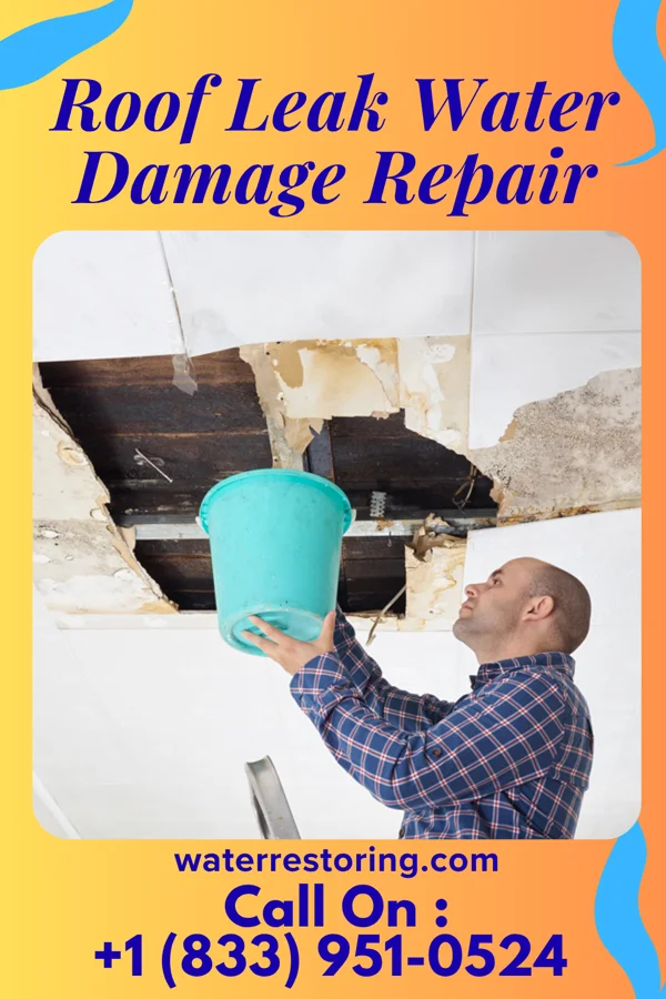 Roof Leak Water Damage Repair in Llano Grande, TX